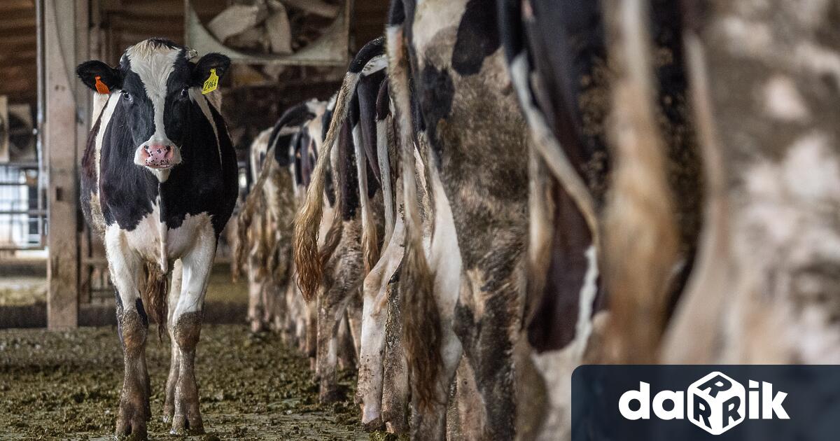 На референдум днес, 25 септември, швейцарските граждани ще решат дали