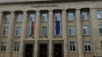 Окръжен съд – Русе разглежда дело за унищожен в кораб по река Дунав слънчоглед