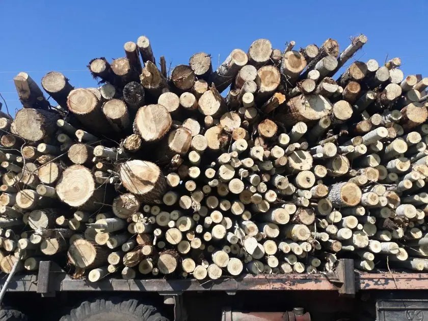 Хванаха четири камиона  в землището на община Белоградчик с незаконно  изсечени дърва 