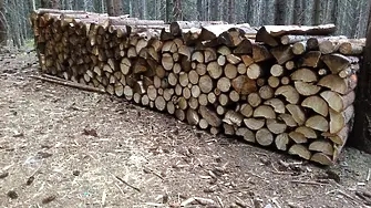 Забавени поръчки за добив на дървесина е причината за липса на достатъчно дърва за огрев в Смолян 
