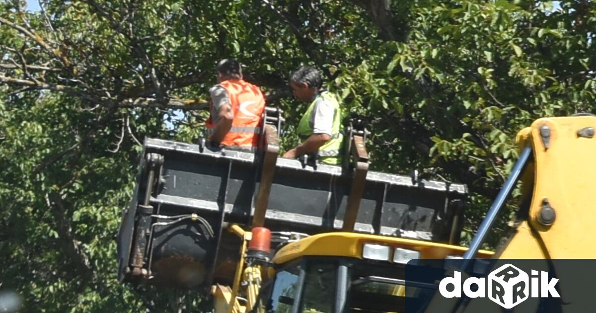 Временно ще бъде ограничено спирането, паркирането и движението на моторни