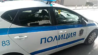 След клип в социалните мрежи, полицията в Смолян разкри шофьор прегазил умишлено куче 