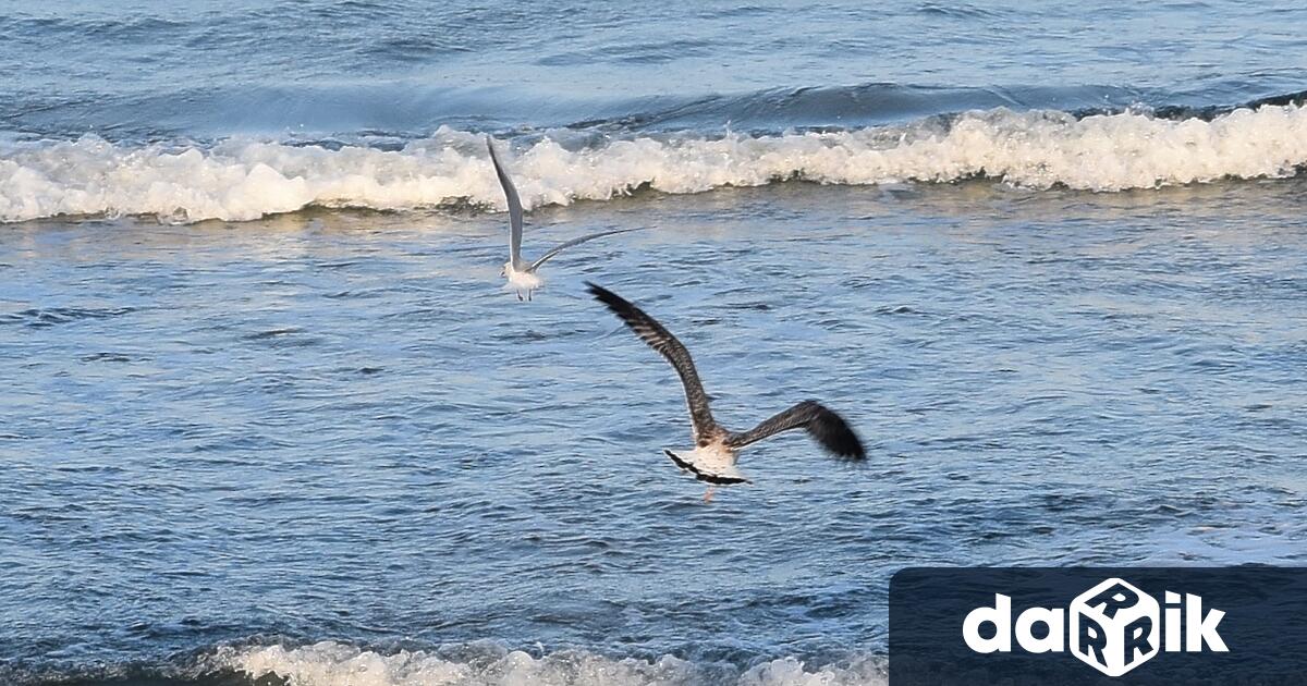 Есента е сезонът, в койтозапочвамиграцията на птиците към по-топлите места