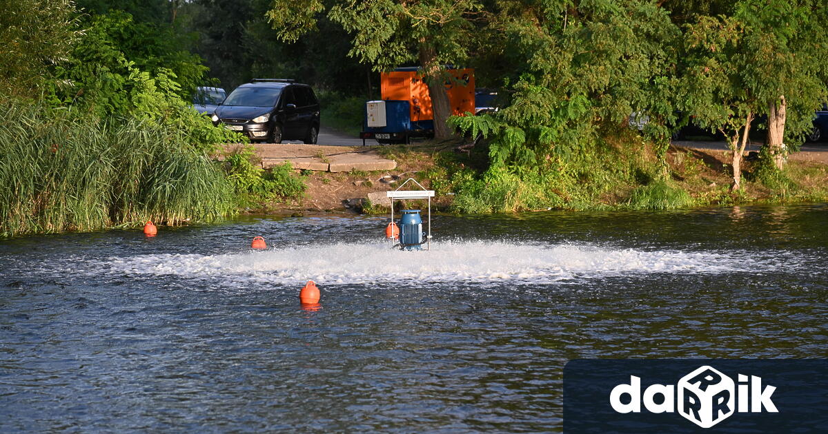 Стана ясна каква е причината за масовата смърт на риба