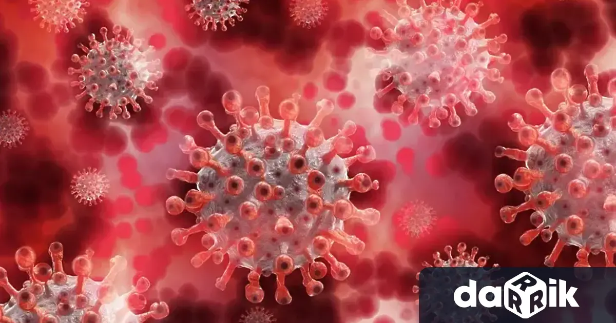 179 са новите заразени с коронавирус у нас за денонощието.Като