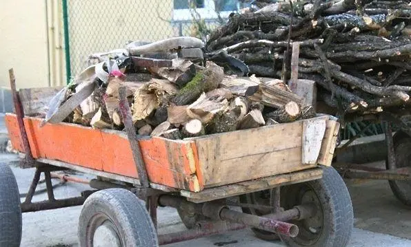 Спецакция на полицията във врачанско откри дърва без контролна горска марка в два имота