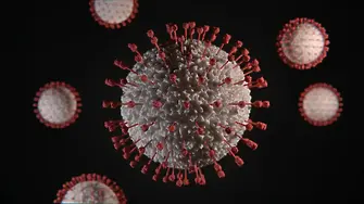298 са новозаразените с коронавирус у нас за денонощие показват