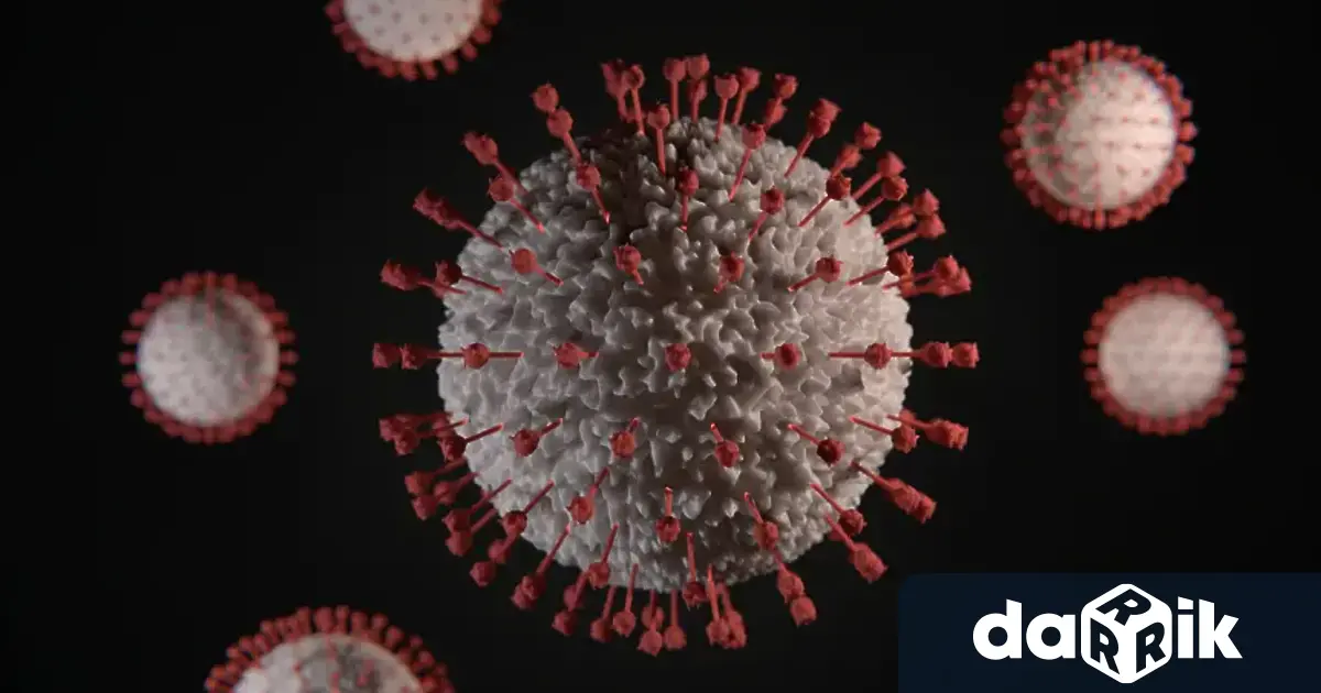 298 са новозаразените с коронавирус у нас за денонощие, показват