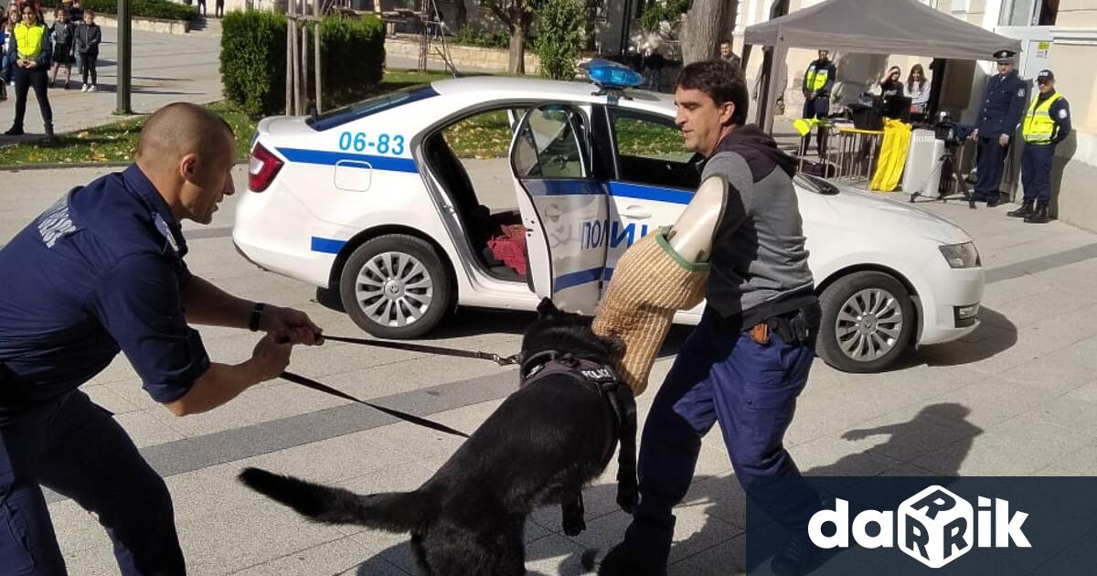 25 ученика от пети клас в СУ Козма Тричков“- гр.