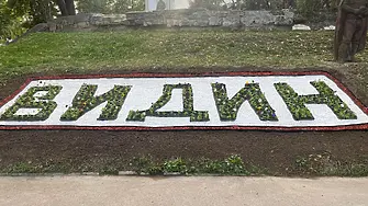 Обновиха  с цветя надписа на Видин  в близост до Художествената галерия                                        