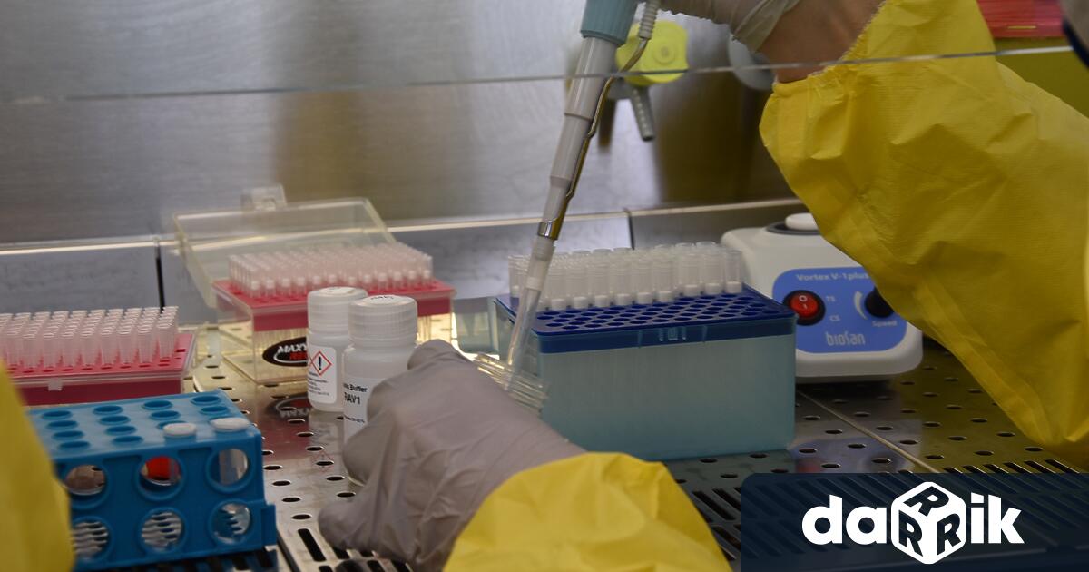 685 са новодиагностицираните с COVID-19 лица у нас за изминалите