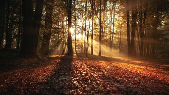 В събота 8 октомври над страната ще преобладава слънчево време Сутринта