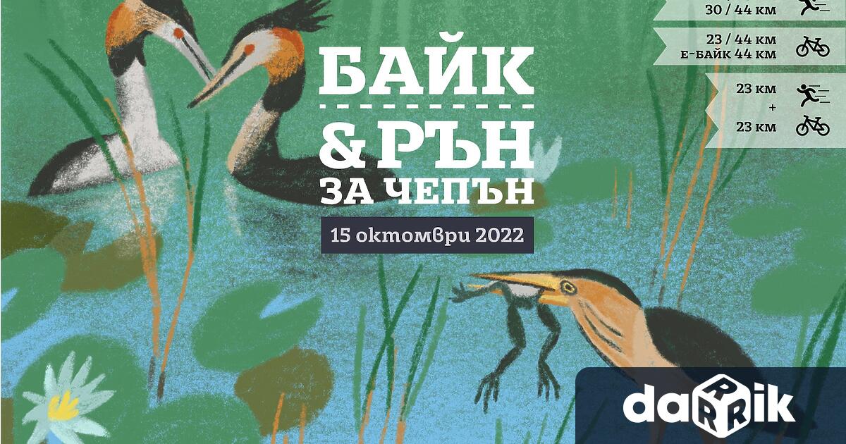 Защитата и изследването на птиците край Дуранкулак е тазгодишната кауза