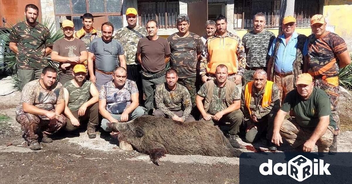 160-килограмово диво прасе отстреля край димитровградското село Добрич 40-годишният Тодор