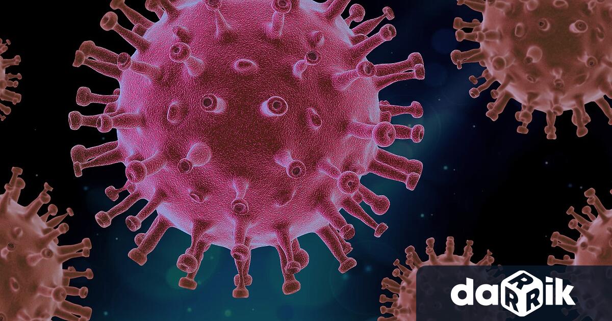 909 са новите потвърдени случаи на коронавирус у нас за