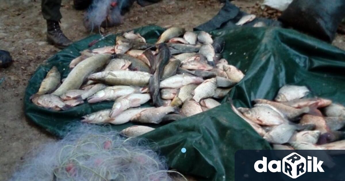 42-годишен монтански жител е задържан за 24 часа в ареста