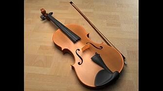 Цигулка е откраднатаот частен дом в Сливен съобщиха от полицията