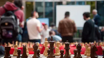 Шахматен турнир се провежда в Младежкия дом на Монтана