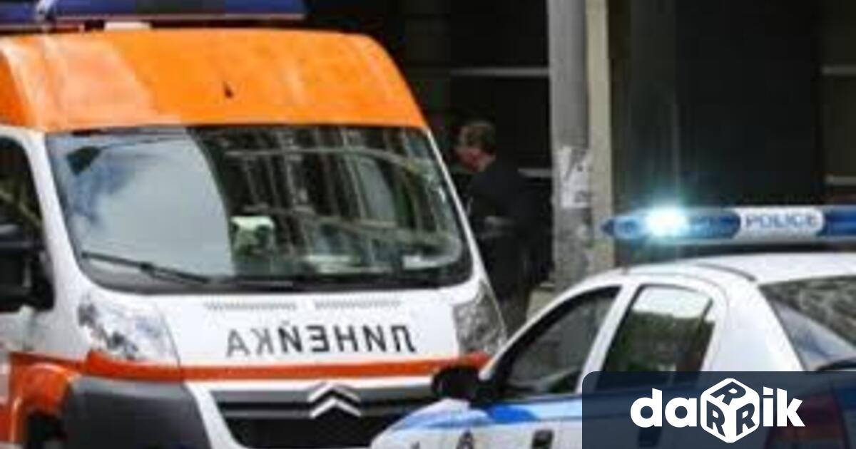 Баща и син от кв. Кошарник“ са задържани за 24