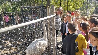 Дарение за Зоокът Павликени направиха учениците от II д клас