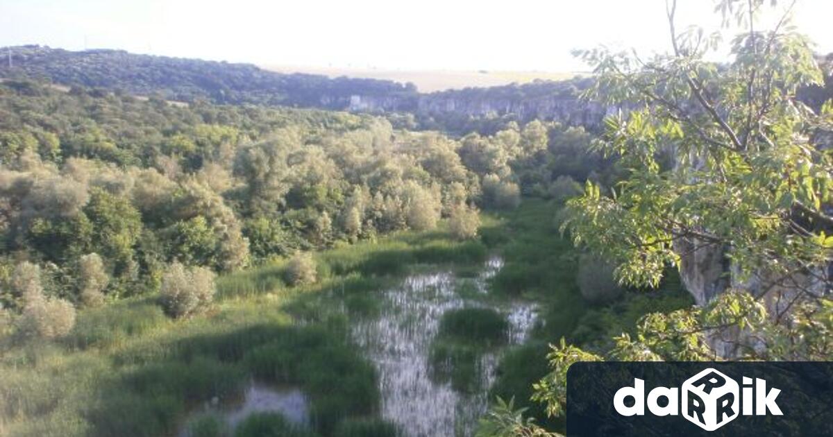 Разработването на план за управление (актуализиран) на Природен парк Русенски