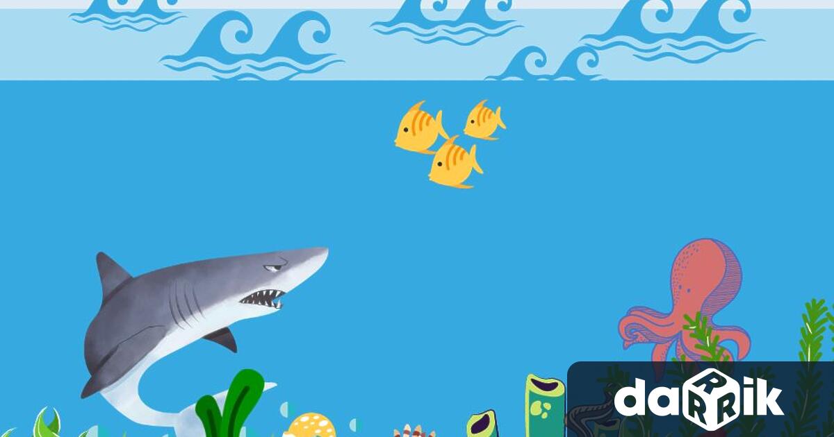 Уикенд на акулите“ ще се проведе този уикенд в Регионалния