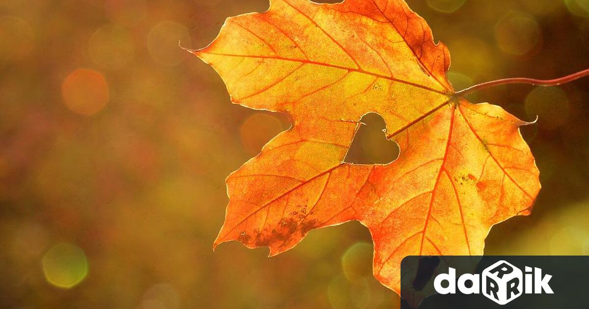 Ще бъде слънчево. Преди обяд по Черноморието ще има ниска