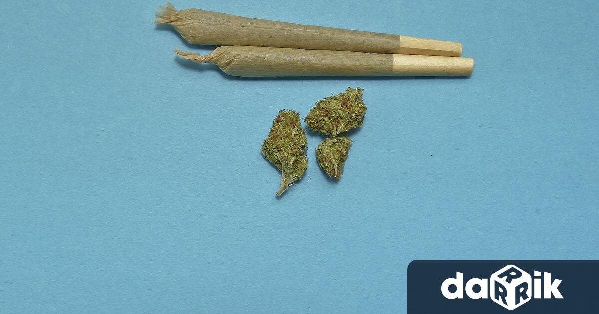 Германското правителство възнамерява да разреши на жителите да купуват до