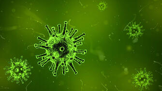 Новите случаи на коронавирус във Варназа последното денонощие са 15