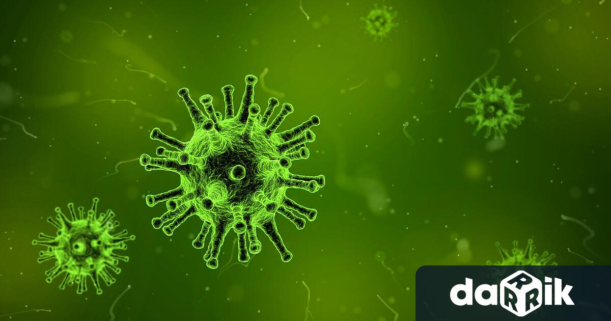 Новите случаи на коронавирус във Варназа последното денонощие са 15.