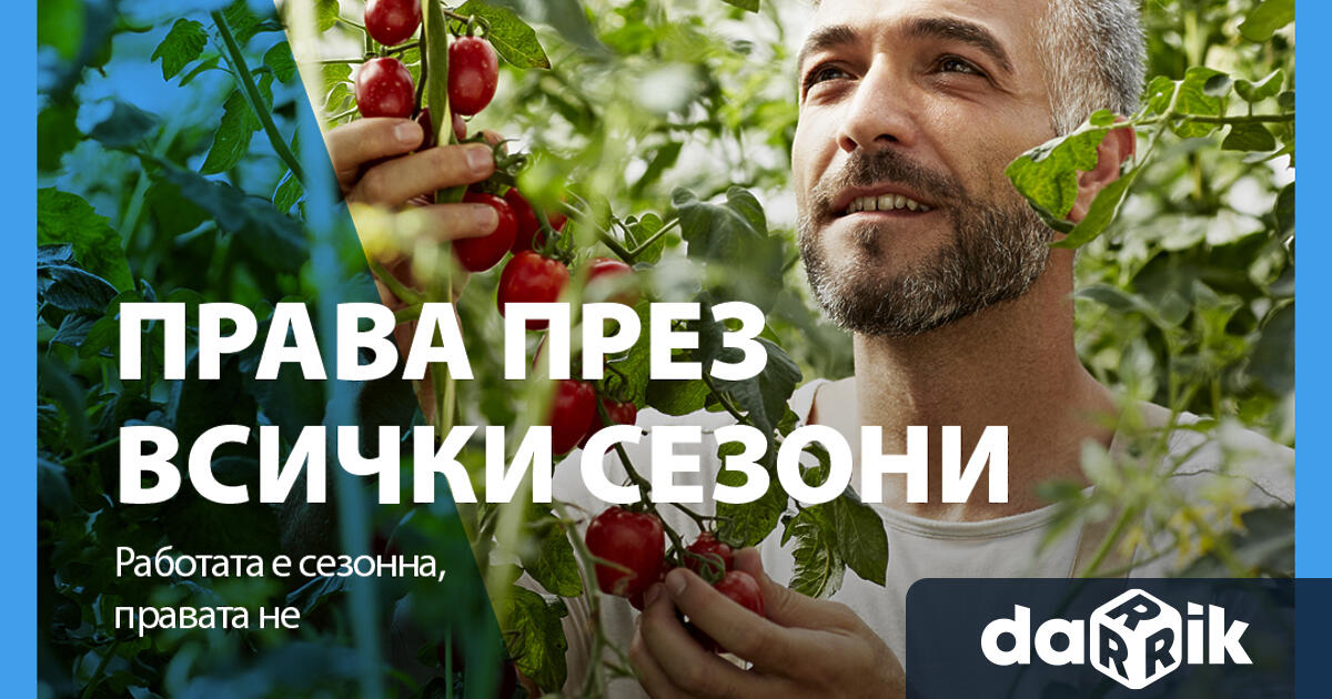 Информация за българските дружества, включително и предприятия, осигуряващи временна работа,