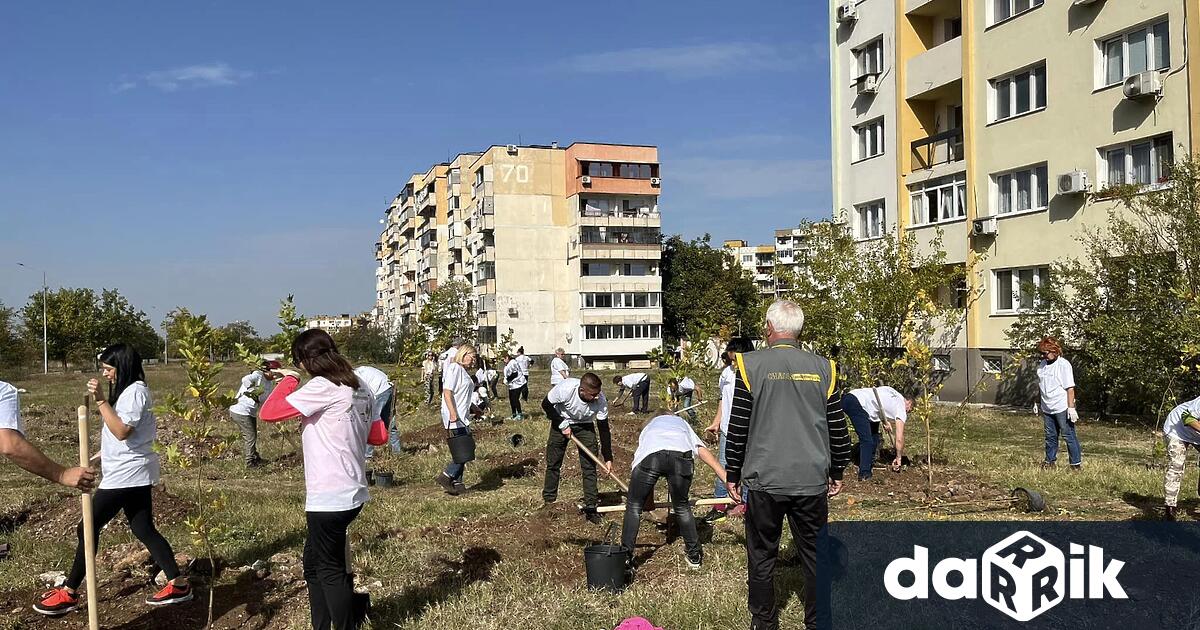 Сто млади дръвчета бяха посадени в района на ж.к. “Сениче,