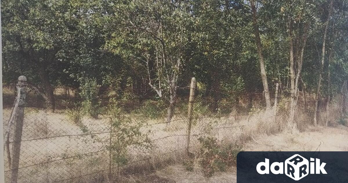 Търг с тайно наддаване по реда на чл. 251 -