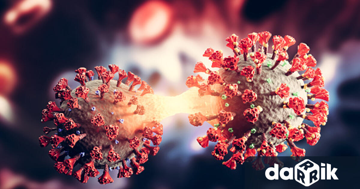 Навлизаме във вирусното есенно време, продължава ли да отстъпва Ковид-19,