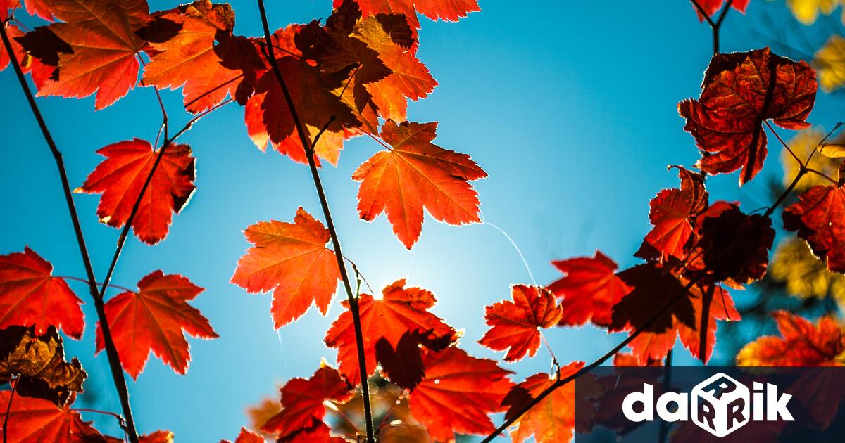 Днес времето ще е предимно слънчево. Ще има временни увеличения