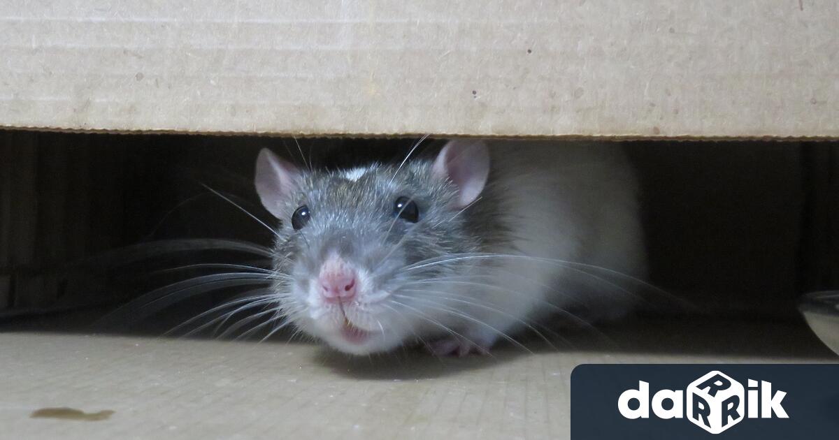 Сгради не се срутват често, но когато това се случи