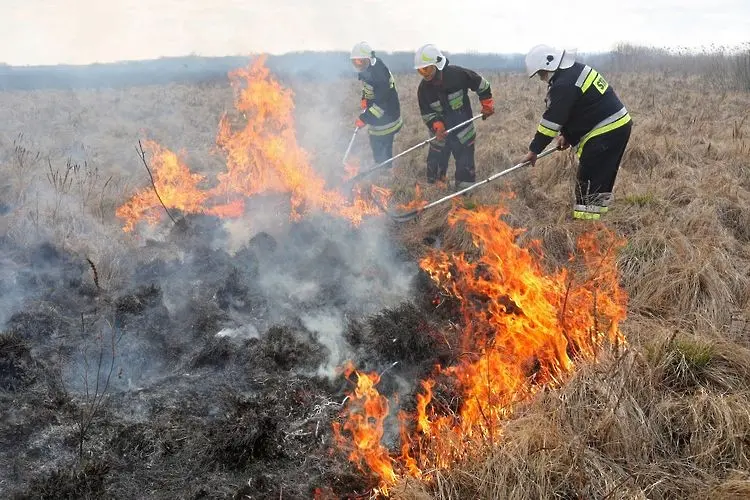 Множество пожари в сухи треви в силистренско през вчерашния ден