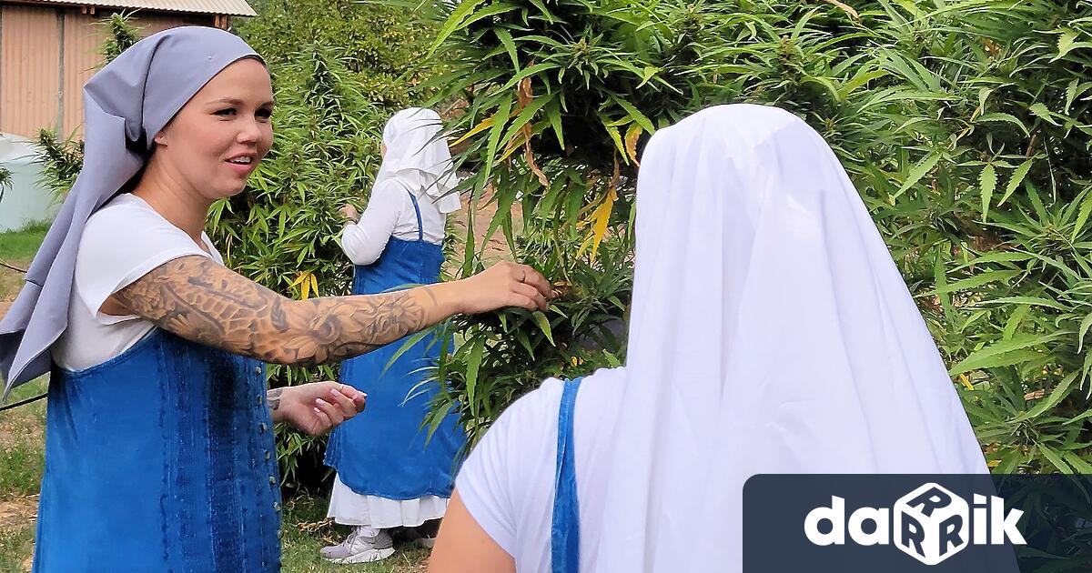 Окръг Мърсед се намира в средата на централната долина на