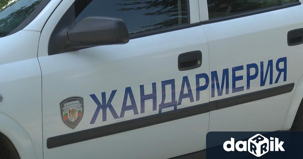 На 25 октомври служител на МВР блъсна дете на пешеходна