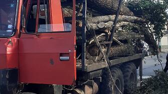20 куб м широколистни дърва за огрев са задържали горските инспекторипри