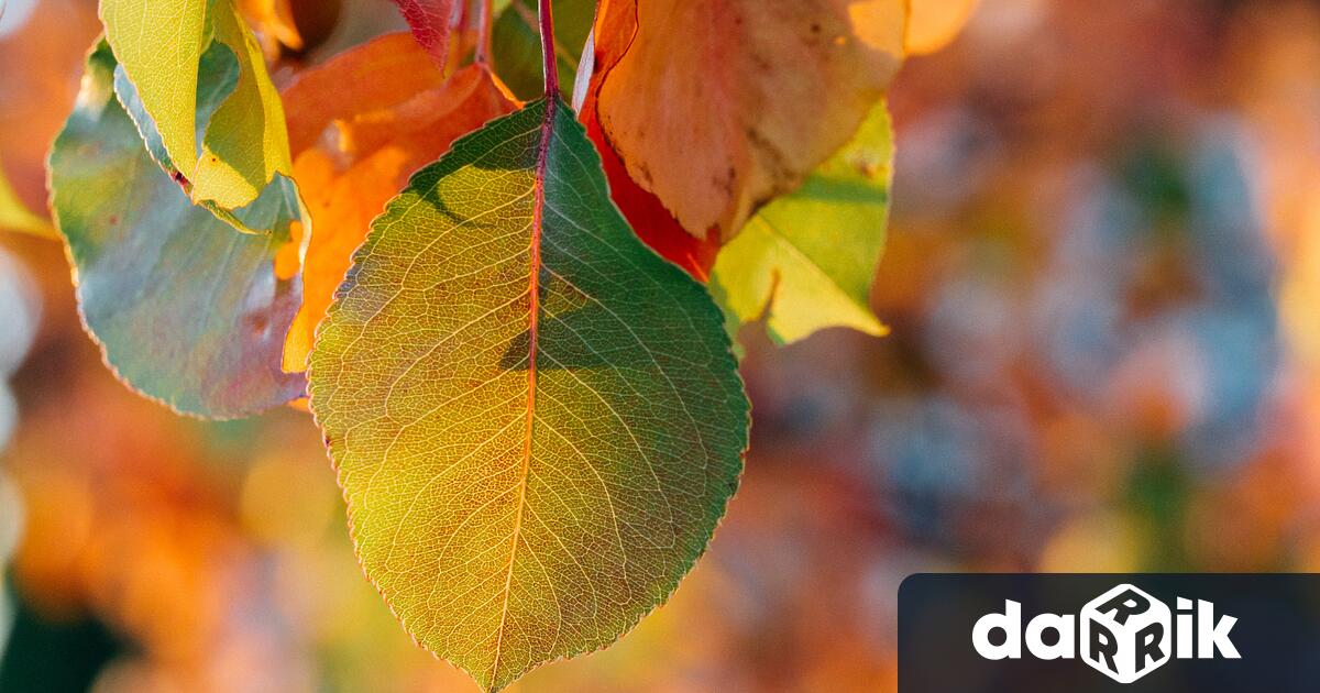 В сряда ще бъде слънчево и още по-топло. В сутрешните