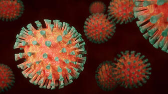 Варна вече е в зелената зона по заболеваемост от коронавирус