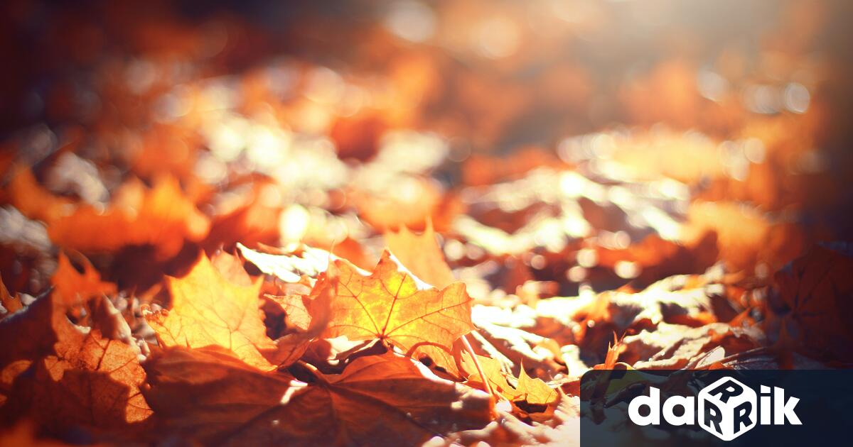 Днес ще бъде предимно слънчево. Сутринта на места в източните