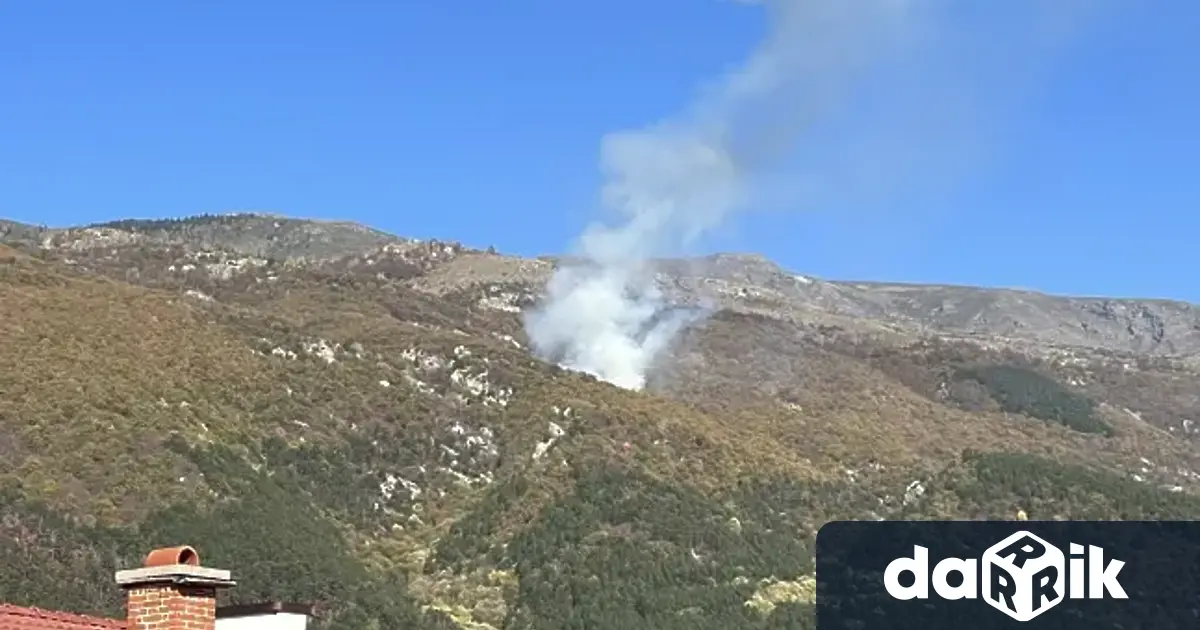 Овладян е пожарът в гората над Карлово.На труднодостъпния терен все