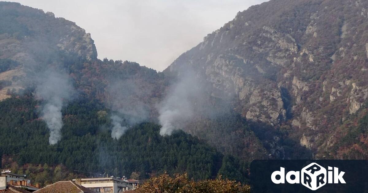 Пожар пламна отново в гората над Карлово. Огънят се е