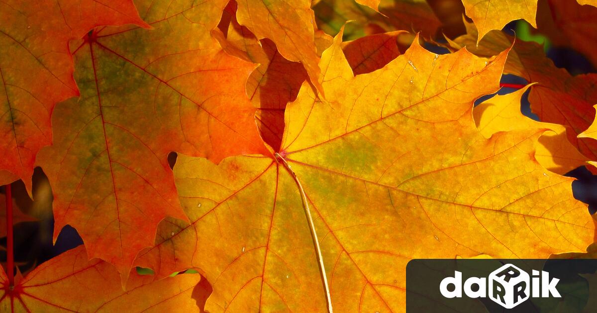 В четвъртък времетоще е предимно слънчево. Ще има временни увеличения