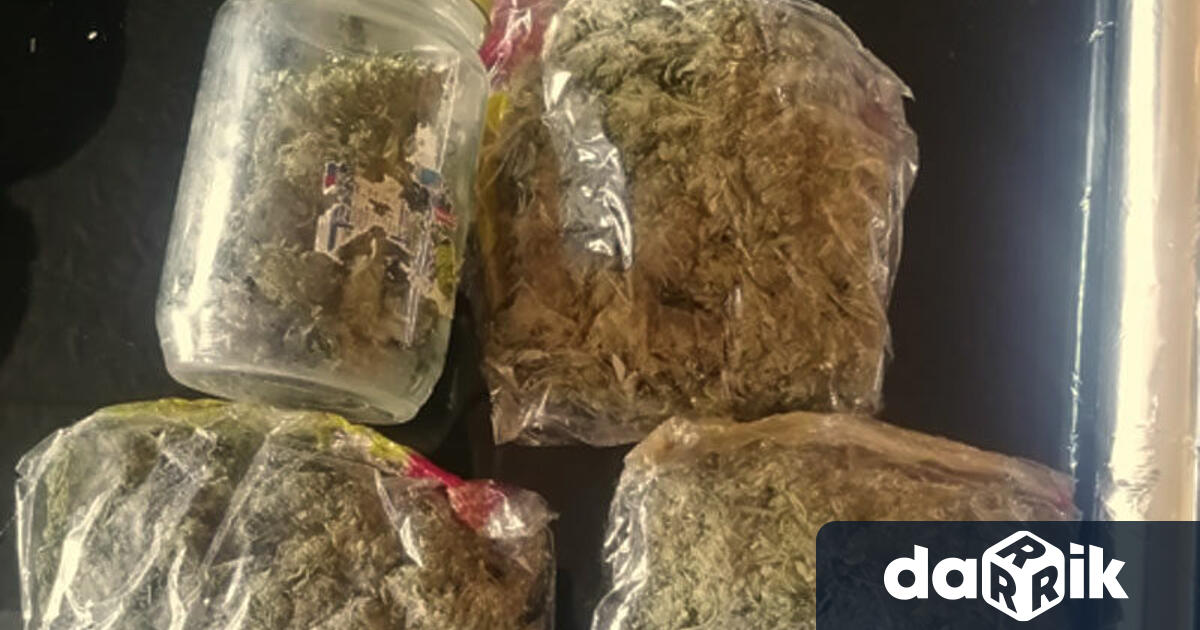 7 кг канабис са били открити вчера при проверка в