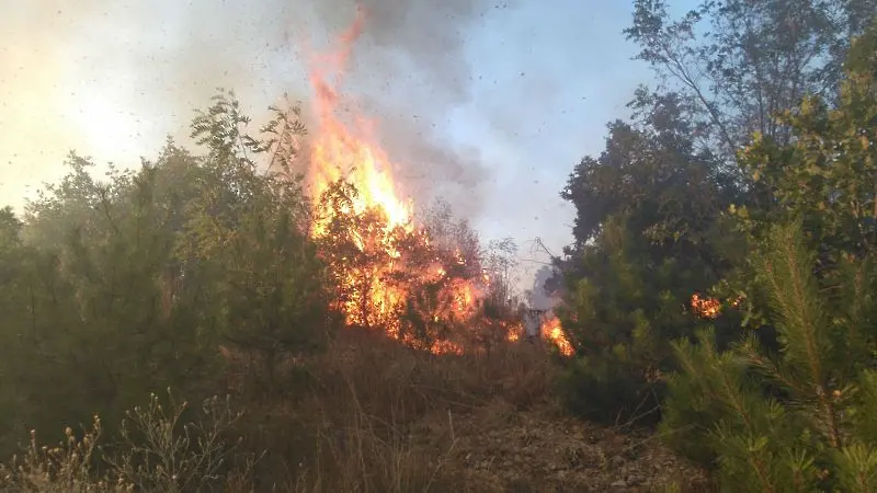 Продължават опитите за ограничаване на пожара край полигон „Ново село“