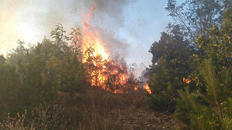 Продължава гасенето на пожара северозападно от военния полигон Ново село