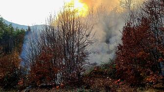 Горски пожар е възникнал на територията на ДГС Стара река